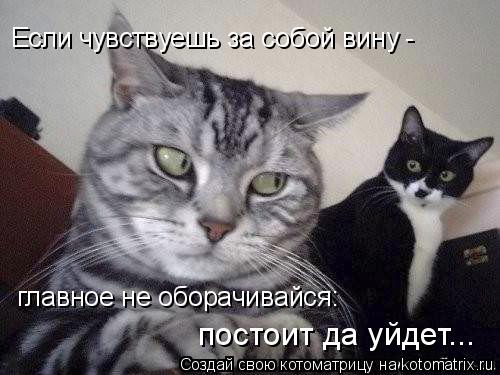 Если чувствуешь за собой вину - главное не оборачивайся: постоит да уйдет...... Котоматрица: Если чувствуешь за собой вину - главное не оборачивайся: постоит да уйдет...