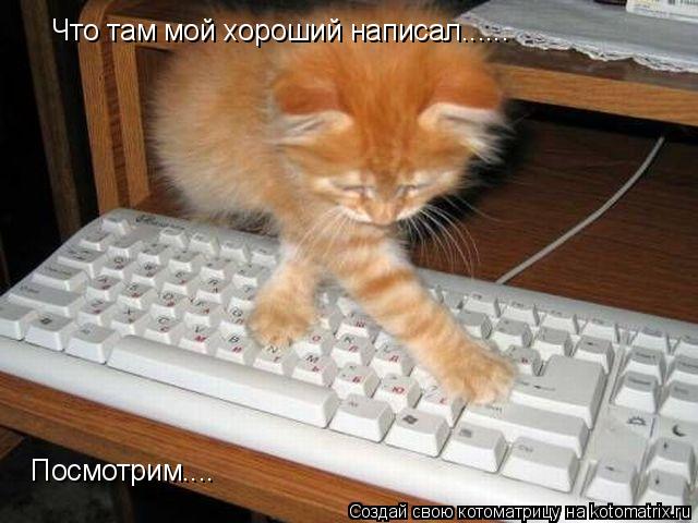 Что там мой хороший написал...... Посмотрим....... Котоматрица: Что там мой хороший написал...... Посмотрим....
