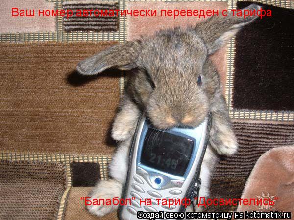 Ваш номер автоматически переведен с тарифа "Балабол" на тариф "Досвистелись"... Котоматрица: Ваш номер автоматически переведен с тарифа "Балабол" на тариф "Досвистелись"