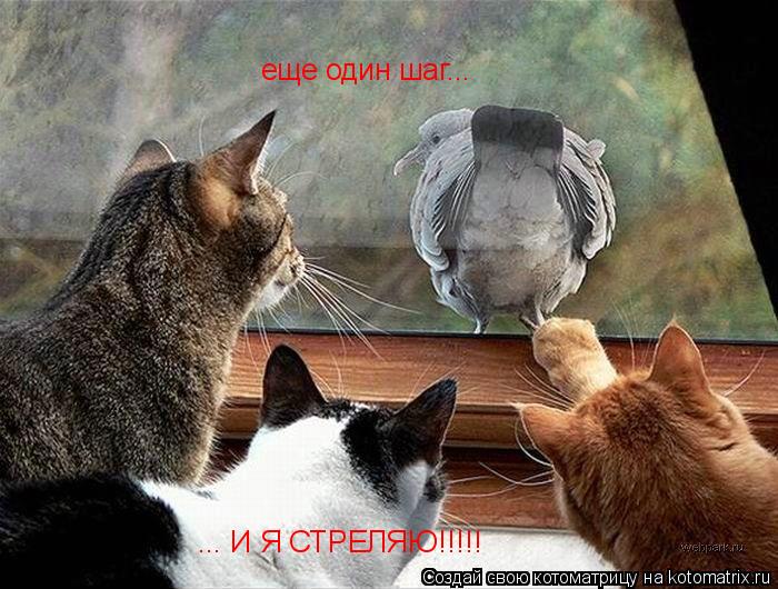 еще один шаг... ... И Я СТРЕЛЯЮ!!!!!... Котоматрица: еще один шаг... ... И Я СТРЕЛЯЮ!!!!!