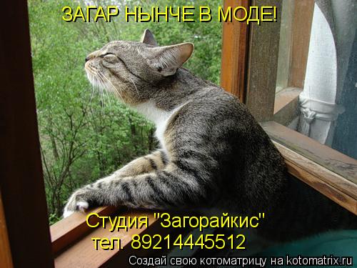 Котоматрица: ЗАГАР НЫНЧЕ В МОДЕ! Студия "Загорайкис" тел. 89214445512