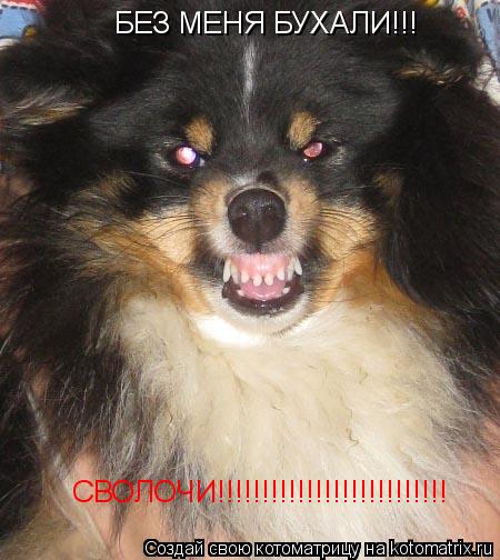БЕЗ МЕНЯ БУХАЛИ!!! СВОЛОЧИ!!!!!!!!!!!!!!!!!!!!!!!!!!... Котоматрица: БЕЗ МЕНЯ БУХАЛИ!!! СВОЛОЧИ!!!!!!!!!!!!!!!!!!!!!!!!!!