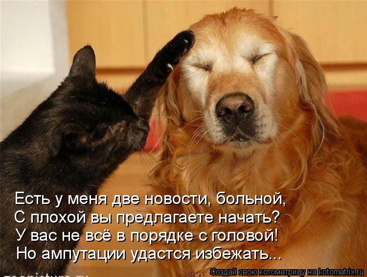 Есть у меня две новости, больной, С плохой вы предлагаете начать? У вас не всё в порядке с головой! Н... Котоматрица: Есть у меня две новости, больной, С плохой вы предлагаете начать? У вас не всё в порядке с головой! Но ампутации удастся избежать...