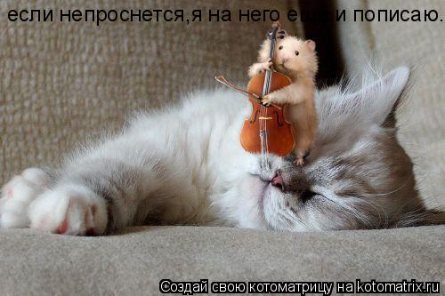 если непроснется,я на него ещё и пописаю....... Котоматрица: если непроснется,я на него ещё и пописаю....