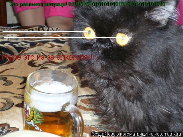 Это реальная матрица! 010101010101010101010101010101010 ____________________ ________________________... Котоматрица: Это реальная матрица! 010101010101010101010101010101010 ____________________ ____________________________ И все это из-за алкоголя!!! -