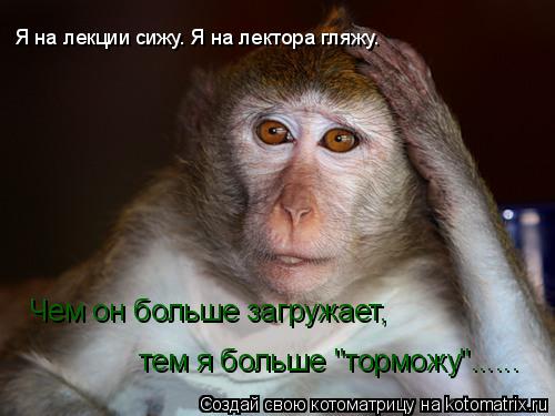 Котоматрица: Я на лекции сижу. Я на лектора гляжу.  Чем он больше загружает,  тем я больше "торможу"......