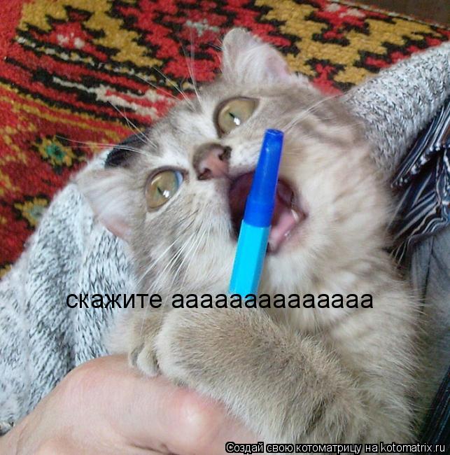 скажите аааааааааааааа... Котоматрица: скажите аааааааааааааа