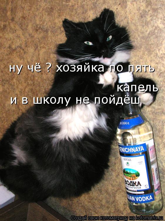 ну чё ? хозяйка по пять капель и в школу не пойдёш... Котоматрица: ну чё ? хозяйка по пять капель и в школу не пойдёш