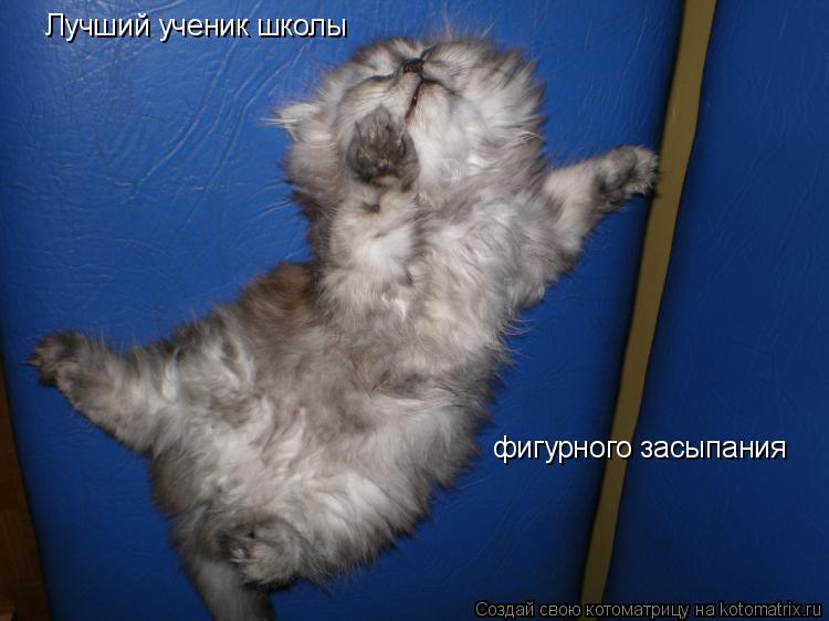 Лучший ученик школы фигурного засыпания... Котоматрица: Лучший ученик школы фигурного засыпания