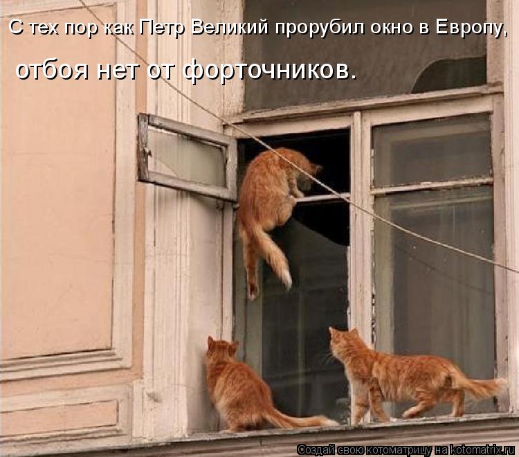 С тех пор как Петр Великий прорубил окно в Европу, отбоя нет от форточников.... Котоматрица: С тех пор как Петр Великий прорубил окно в Европу, отбоя нет от форточников.