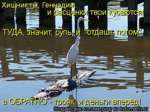 Хищник ты, Геннадий, и расценки твои кусаются! ТУДА, значит, рупь, и "отдашь потом", а ОБРАТНО - тро... Котоматрица: Хищник ты, Геннадий, и расценки твои кусаются! ТУДА, значит, рупь, и "отдашь потом", а ОБРАТНО - трояк, и деньги вперёд!