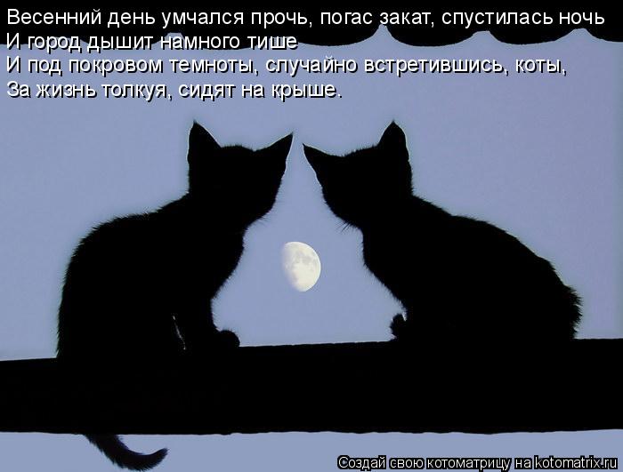 Весенний день умчался пpочь, погас закат, спустилась ночь И гоpод дышит намного тише И под покpовом т... Котоматрица: Весенний день умчался пpочь, погас закат, спустилась ночь И гоpод дышит намного тише И под покpовом темноты, случайно встpетившись, коты, За ж