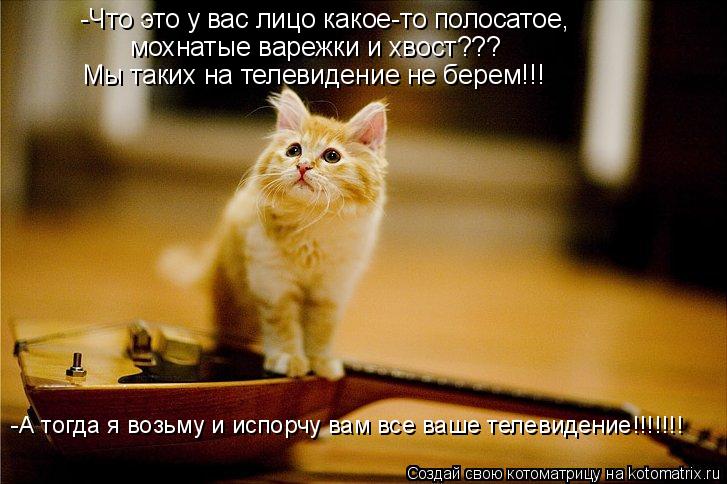 -Что это у вас лицо какое-то полосатое, мохнатые варежки и хвост??? Мы таких на телевидение не берем!... Котоматрица: -Что это у вас лицо какое-то полосатое, мохнатые варежки и хвост??? Мы таких на телевидение не берем!!! -А тогда я возьму и испорчу вам все ваше