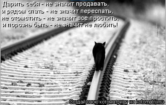Дарить себя - не значит продавать, и рядом спать - не значит переспать, не отомстить - не значит все ... Котоматрица: Дарить себя - не значит продавать, и рядом спать - не значит переспать, не отомстить - не значит все простить, и порознь быть - не значит не люб