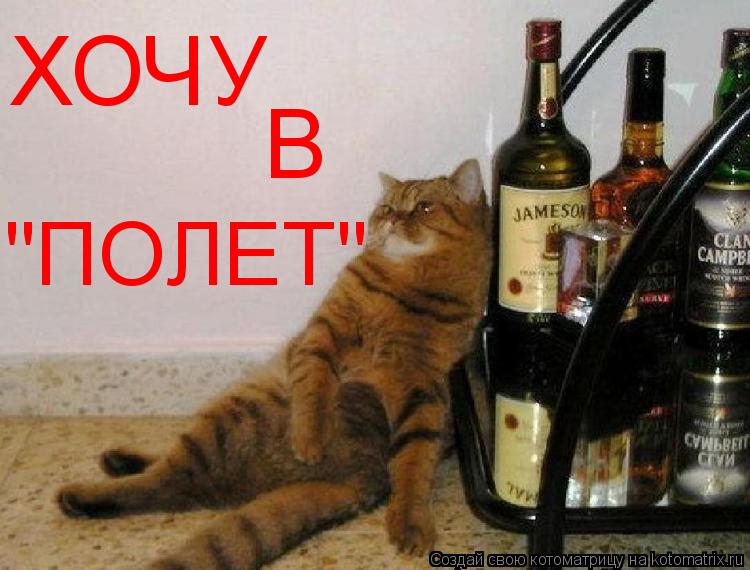 ХОЧУ В "ПОЛЕТ"... Котоматрица: ХОЧУ В "ПОЛЕТ"