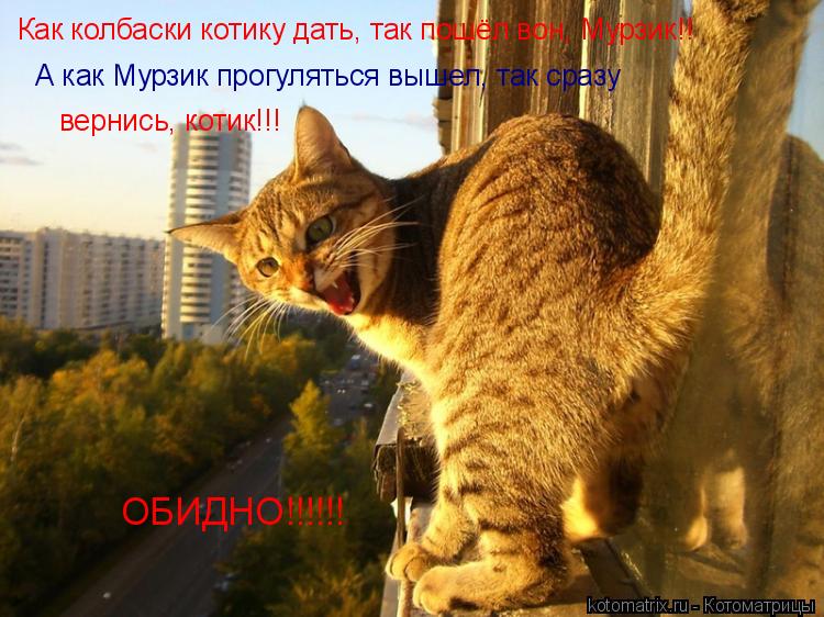 Как колбаски котику дать, так пошёл вон, Мурзик!! А как Мурзик прогуляться вышел, так сразу вернись, ... Котоматрица: Как колбаски котику дать, так пошёл вон, Мурзик!! А как Мурзик прогуляться вышел, так сразу вернись, котик!!! ОБИДНО!!!!!!