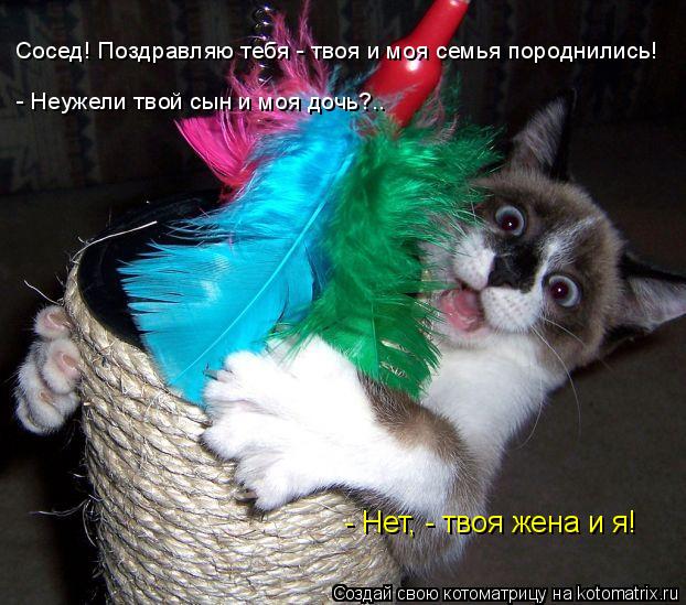 Сосед! Поздравляю тебя - твоя и моя семья породнились! - Неужели твой сын и моя дочь?.. - Нет, - твоя... Котоматрица: Сосед! Поздравляю тебя - твоя и моя семья породнились! - Неужели твой сын и моя дочь?.. - Нет, - твоя жена и я!