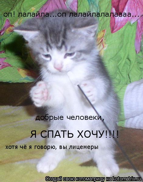 оп! лалайла...оп лалайлалалаааа... добрые человеки, Я СПАТЬ ХОЧУ!!!! хотя чё я говорю, вы лицемеры... Котоматрица: оп! лалайла...оп лалайлалалаааа... добрые человеки, Я СПАТЬ ХОЧУ!!!! хотя чё я говорю, вы лицемеры