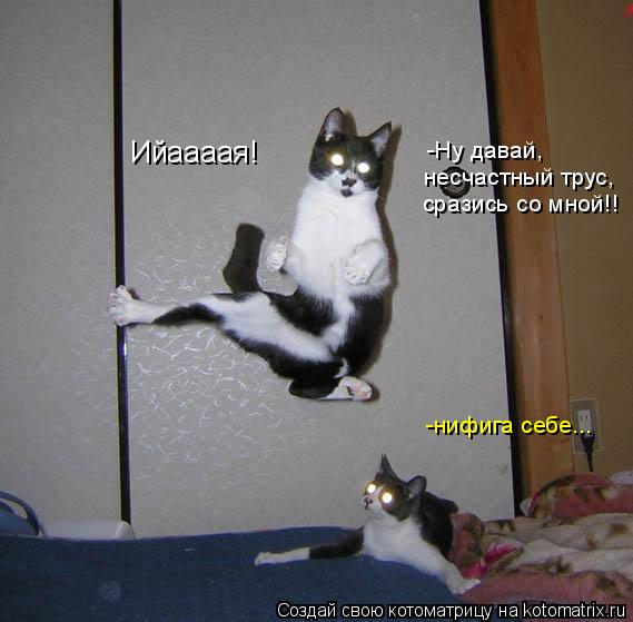 Ийаааая! -Ну давай, несчастный трус, сразись со мной!! -нифига себе...... Котоматрица: Ийаааая! -Ну давай, несчастный трус, сразись со мной!! -нифига себе...