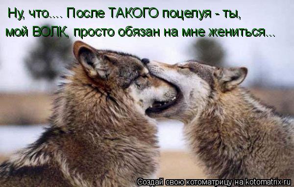 Ну, что.... После ТАКОГО поцелуя - ты, мой ВОЛК, просто обязан на мне жениться...... Котоматрица: Ну, что.... После ТАКОГО поцелуя - ты, мой ВОЛК, просто обязан на мне жениться...