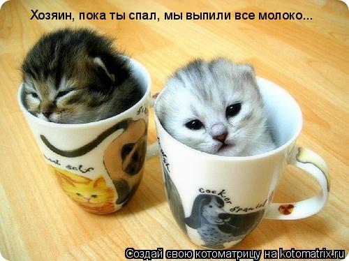 Хозяин, пока ты спал, мы выпили все молоко...... Котоматрица: Хозяин, пока ты спал, мы выпили все молоко...