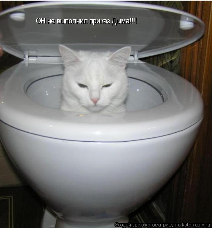 ОН не выполнил приказ Дыма!!!!... Котоматрица: ОН не выполнил приказ Дыма!!!!