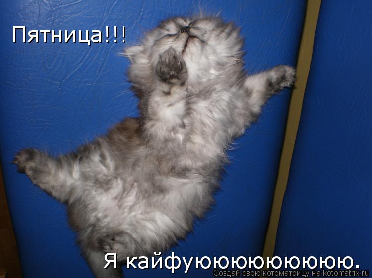 Пятница!!! Я кайфуююююююююю.... Котоматрица: Пятница!!! Я кайфуююююююююю.