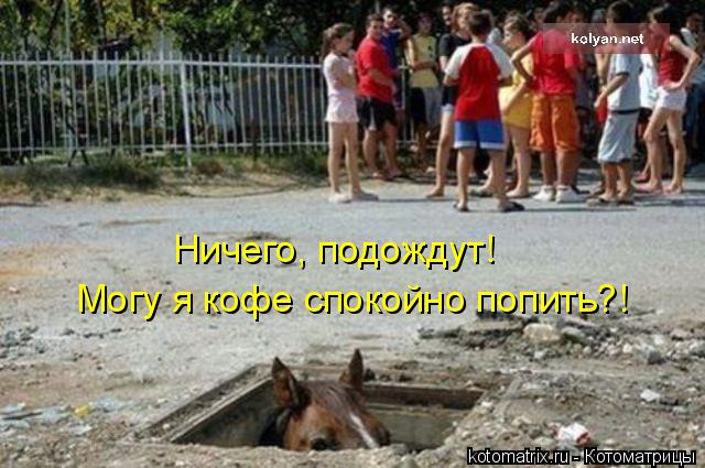 Ничего, подождут! Могу я кофе спокойно попить?!... Котоматрица: Ничего, подождут! Могу я кофе спокойно попить?!