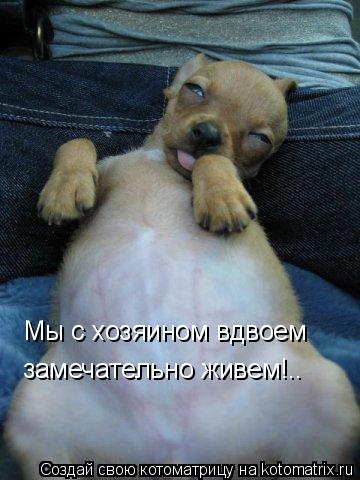 Мы с хозяином вдвоем замечательно живем!..... Котоматрица: Мы с хозяином вдвоем замечательно живем!..