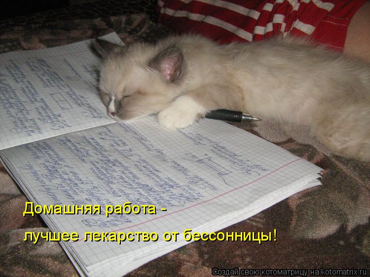Домашняя работа - лучшее лекарство от бессонницы!... Котоматрица: Домашняя работа - лучшее лекарство от бессонницы!