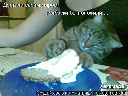 Достали своим сыром, колбаски бы положили.... Хакамада... Котоматрица: Достали своим сыром, колбаски бы положили.... Хакамада