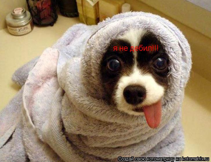 я не дебил!!!... Котоматрица: я не дебил!!!