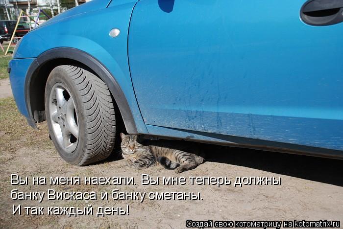 Вы на меня наехали. Вы мне теперь должны банку Вискаса и банку сметаны. И так каждый день!... Котоматрица: Вы на меня наехали. Вы мне теперь должны банку Вискаса и банку сметаны. И так каждый день!