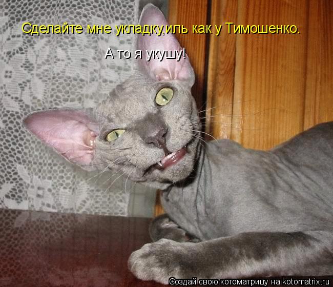Сделайте мне укладку,иль как у Тимошенко. А то я укушу!... Котоматрица: Сделайте мне укладку,иль как у Тимошенко. А то я укушу!