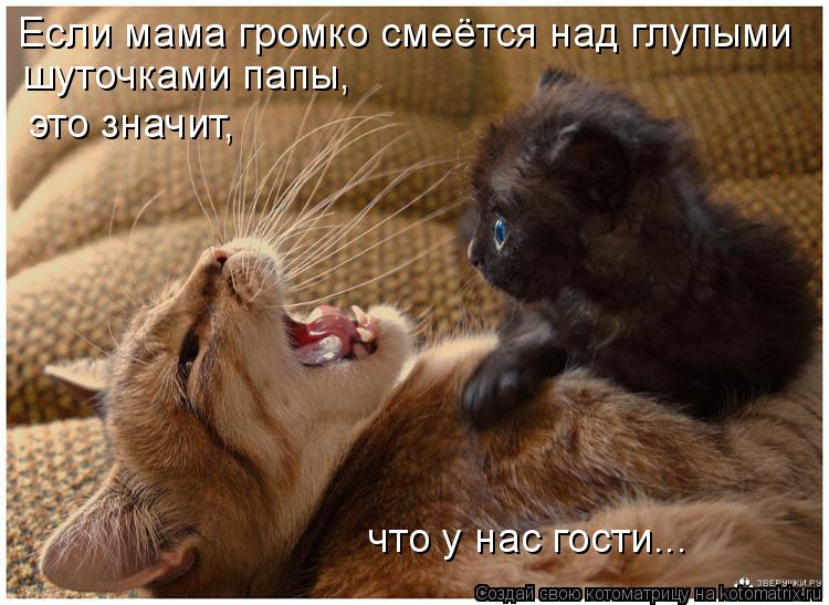 Если мама громко смеётся над глупыми шуточками папы, это значит, что у нас гости...... Котоматрица: Если мама громко смеётся над глупыми шуточками папы, это значит, что у нас гости...