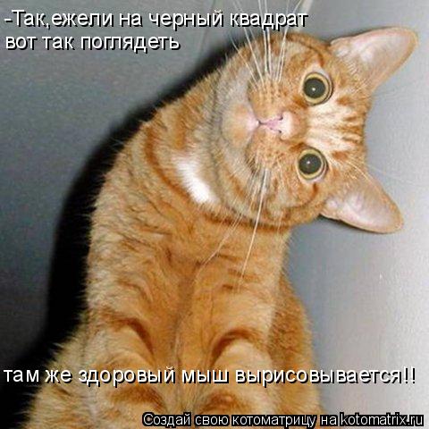 -Так,ежели на черный квадрат вот так поглядеть там же здоровый мыш вырисовывается!!... Котоматрица: -Так,ежели на черный квадрат вот так поглядеть там же здоровый мыш вырисовывается!!