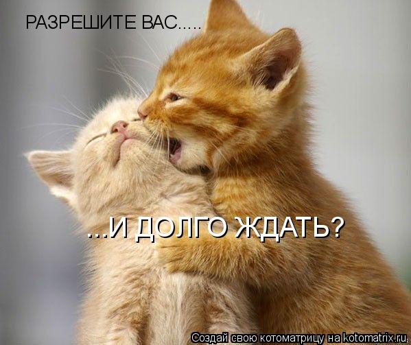 РАЗРЕШИТЕ ВАС..... ...И ДОЛГО ЖДАТЬ?... Котоматрица: РАЗРЕШИТЕ ВАС..... ...И ДОЛГО ЖДАТЬ?