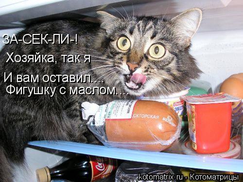 ЗА-СЕК-ЛИ-! Хозяйка, так я И вам оставил.... Фигушку с маслом....... Котоматрица: ЗА-СЕК-ЛИ-! Хозяйка, так я И вам оставил.... Фигушку с маслом....