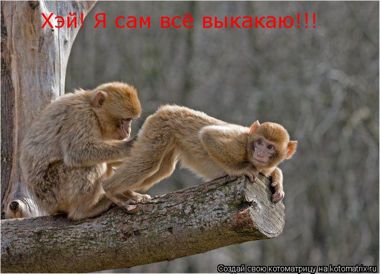 Котоматрица: Хэй! Я сам всё выкакаю!!!