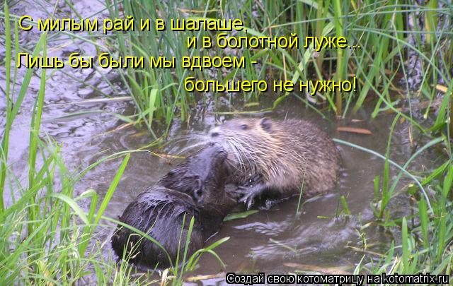 С милым рай и в шалаше, и в болотной луже... Лишь бы были мы вдвоем - большего не нужно!... Котоматрица: С милым рай и в шалаше, и в болотной луже... Лишь бы были мы вдвоем - большего не нужно!