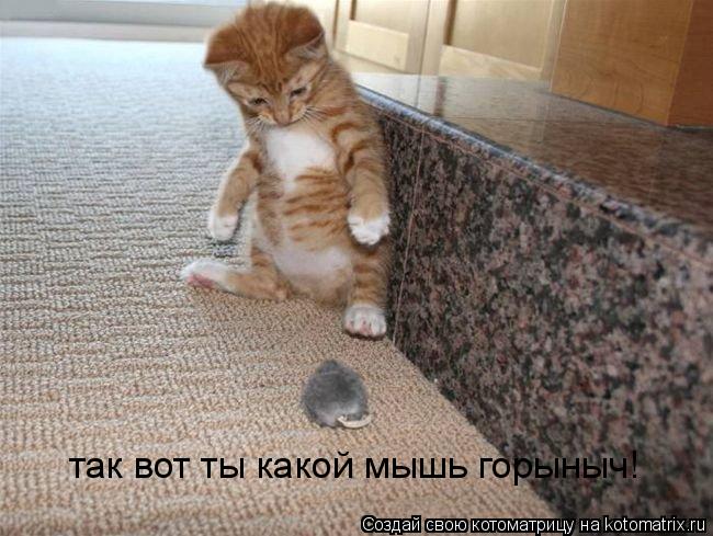 так вот ты какой мышь горыныч!... Котоматрица: так вот ты какой мышь горыныч!