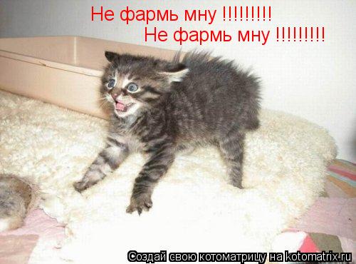 Котоматрица: Не фармь мну !!!!!!!!! Не фармь мну !!!!!!!!!