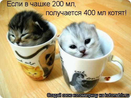 Если в чашке 200 мл, получается 400 мл котят!... Котоматрица: Если в чашке 200 мл, получается 400 мл котят!