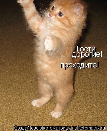 Гости дорогие! проходите!... Котоматрица: Гости дорогие! проходите!