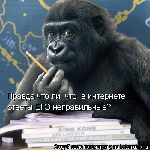 Правда что ли, что в интернете ответы ЕГЭ неправильные?... Котоматрица: Правда что ли, что в интернете ответы ЕГЭ неправильные?
