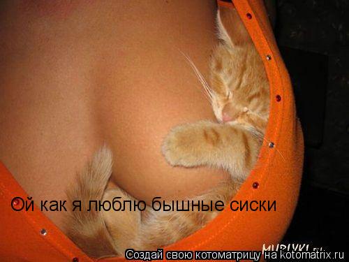 Ой как я люблю бышные сиски... Котоматрица: Ой как я люблю бышные сиски