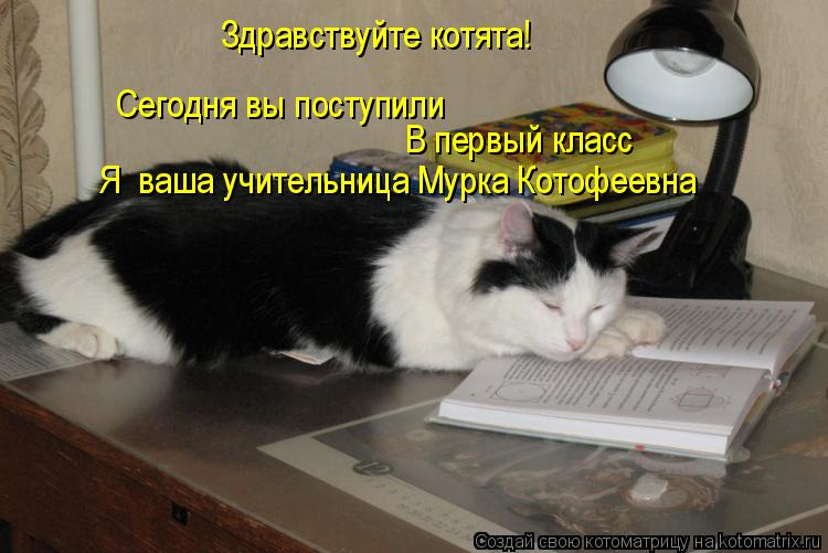 Котоматрица: Здравствуйте котята! Сегодня вы поступили  В первый класс Я  ваша учительница Мурка Котофеевна