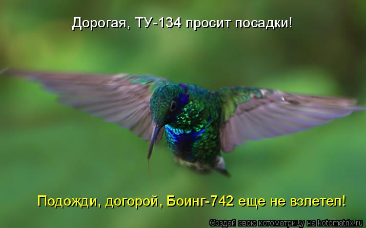 Дорогая, ТУ-134 просит посадки! Подожди, догорой, Боинг-742 еще не взлетел!... Котоматрица: Дорогая, ТУ-134 просит посадки! Подожди, догорой, Боинг-742 еще не взлетел!