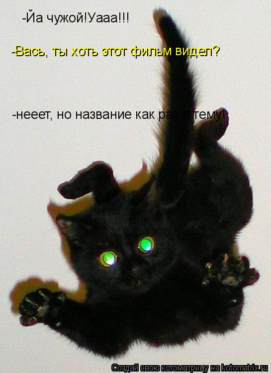 -Йа чужой!Уааа!!! -Вась, ты хоть этот фильм видел? -нееет, но название как раз в тему!... Котоматрица: -Йа чужой!Уааа!!! -Вась, ты хоть этот фильм видел? -нееет, но название как раз в тему!