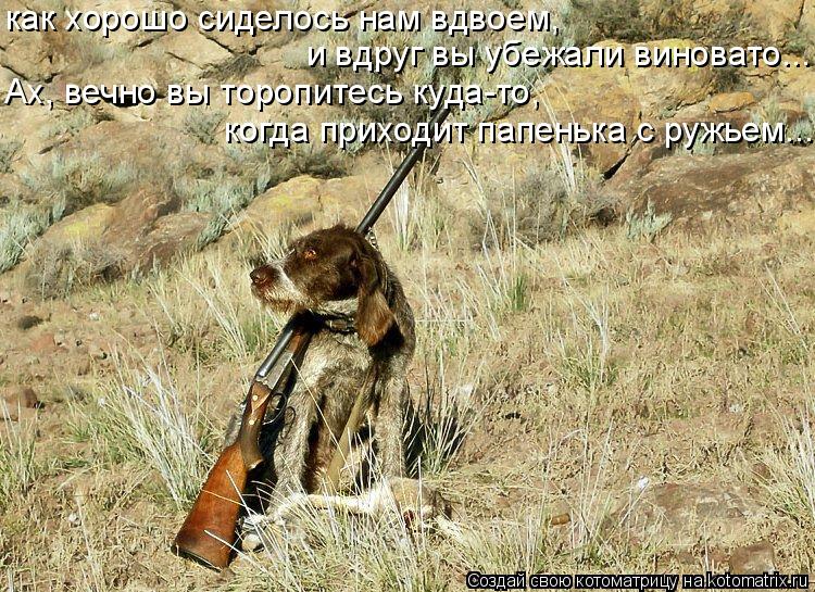 как хорошо сиделось нам вдвоем, и вдруг вы убежали виновато... Ах, вечно вы торопитесь куда-то, когда... Котоматрица: как хорошо сиделось нам вдвоем, и вдруг вы убежали виновато... Ах, вечно вы торопитесь куда-то, когда приходит папенька с ружьем...